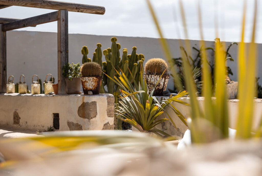 FINCA_LUZ_-96 FINCA LUZ Fuerteventura